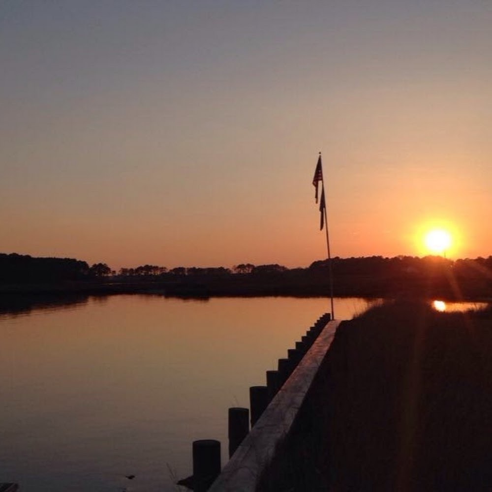 Meet your Posher, Ava